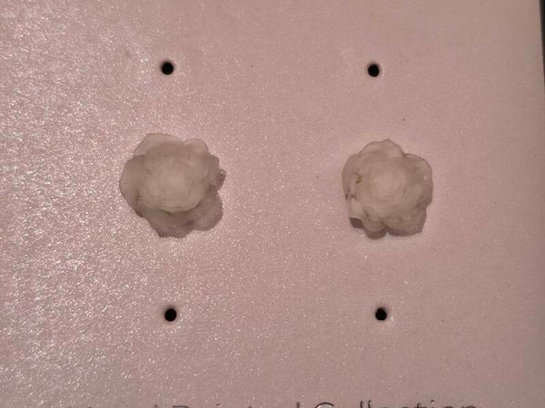 White Rose Earrings