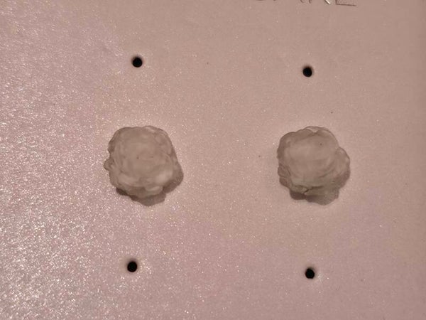White Rose Earrings