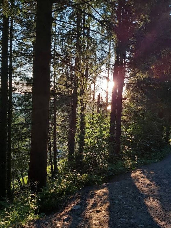 Kurs, ditt stjernetegn og kart kan hjelpe deg gjennom livet