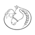 ganzheitliches Pferdetraining