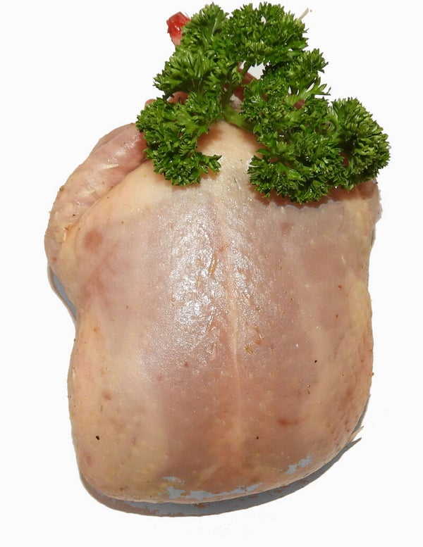 Kwartel ontbeend en gevuld