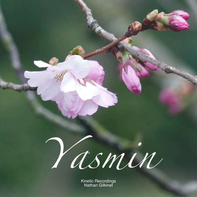 Nathan Gilkinet — Yasmin - Single