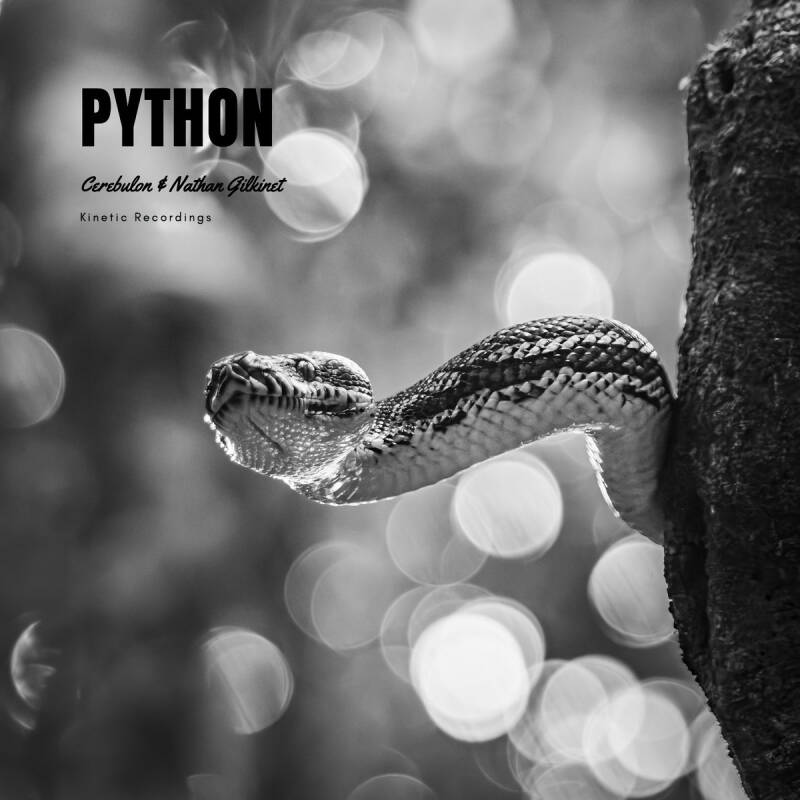 Cerebulon &amp; Nathan Gilkinet — Python - EP