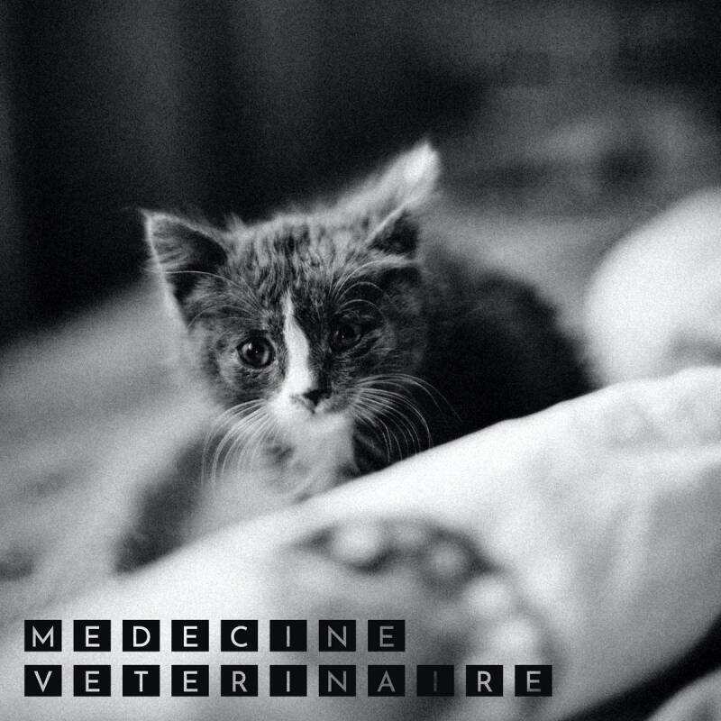 Nathan Gilkinet — Médecine Vétérinaire - EP