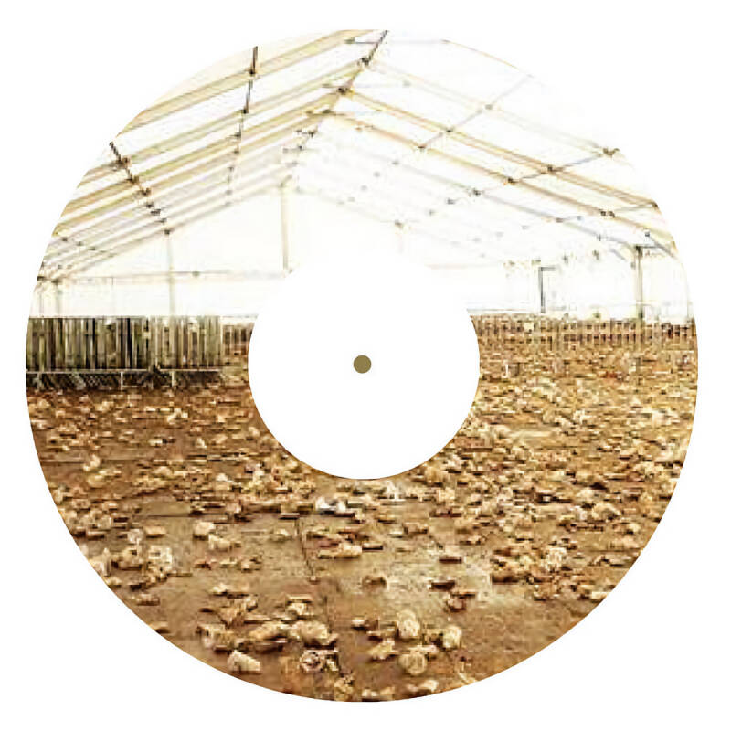 Nathan Gilkinet — Val-Benoît - Single