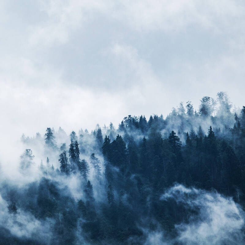 Remyase &amp; Nathan Gilkinet — The Woods - Single