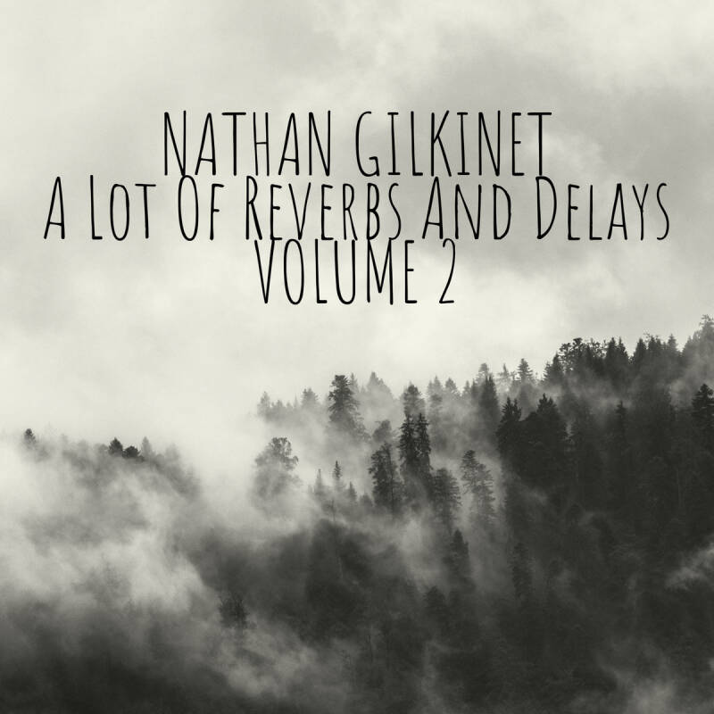 Nathan Gilkinet — A Lot Of Reverbs And Delays, Vol.2