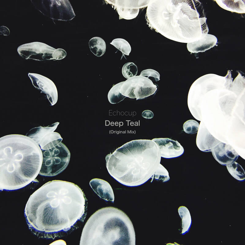 Echocup — Deep Teal - Single