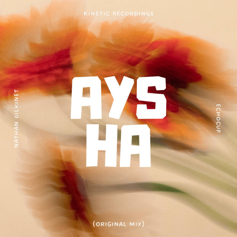Nathan Gilkinet &amp; Echocup — Aysha - Single