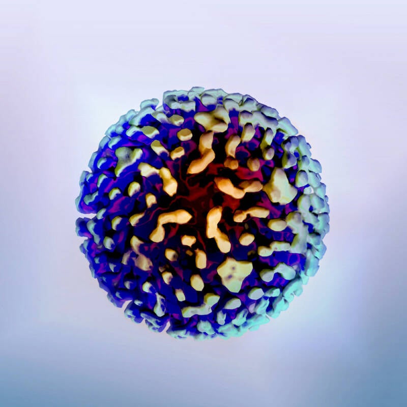 Nathan Gilkinet — Virion - EP