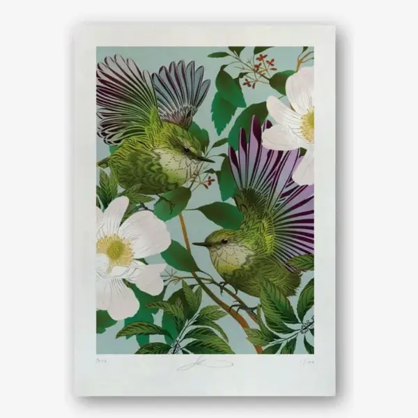 Flox | Tītipounamu & Karamū Print