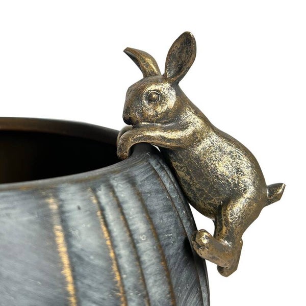 Hanging Rim Rabbits - varieties