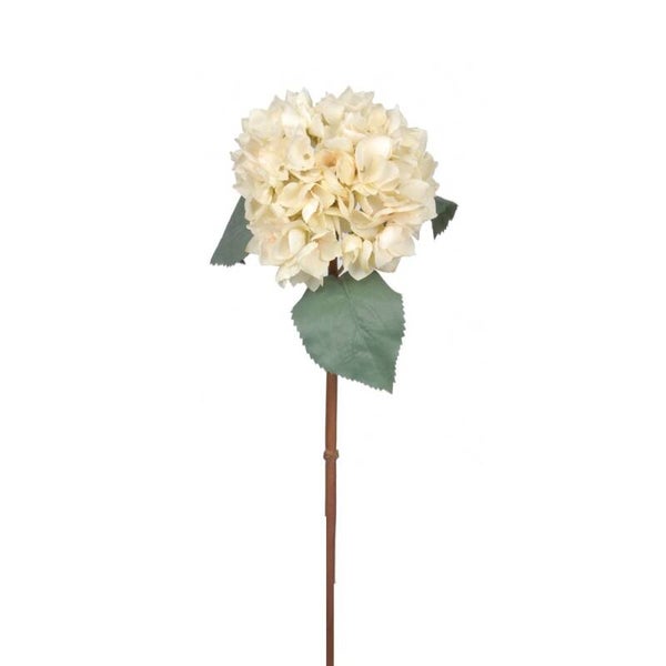 Artisan Florals | Grandiflora Hydrangea - Cream