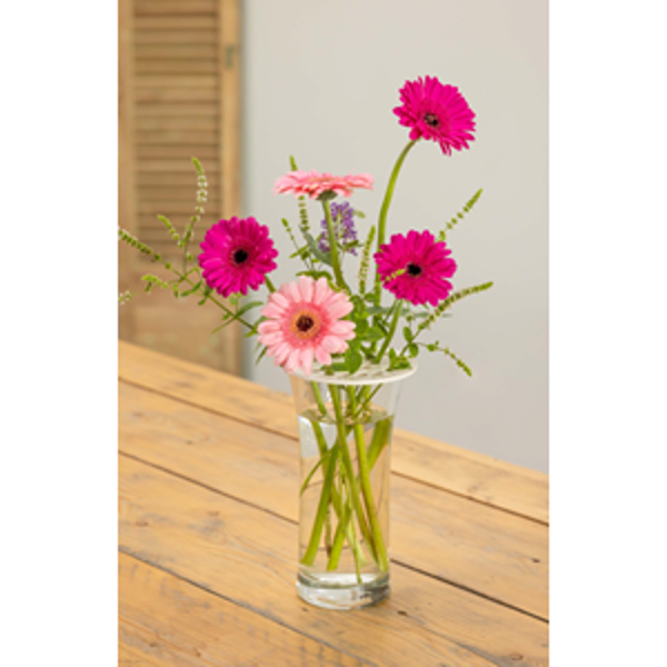 Flower Arranging Discs varieties