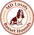 MD Lovely Basset Hounds