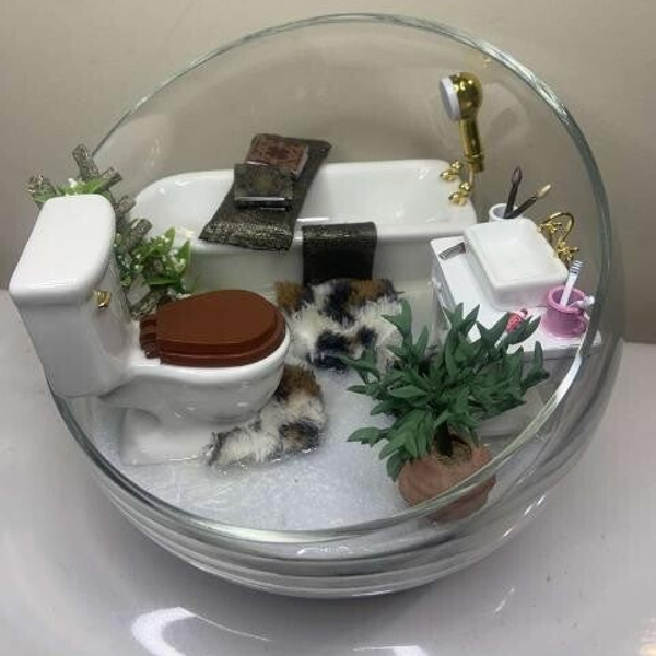 Toilet Bowl Centerpiece (Customized)