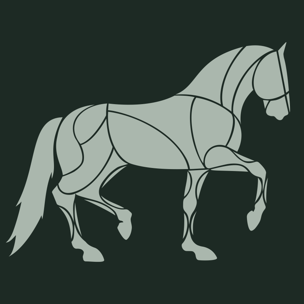 Je Paard in Shape 3 maanden online challange