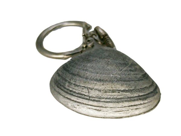 Amande de mer fermée.