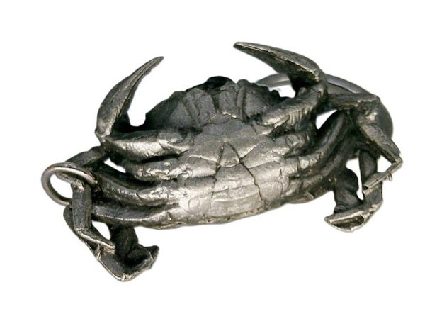 Crabe.( Petit crabe de bords de mer étrille.)