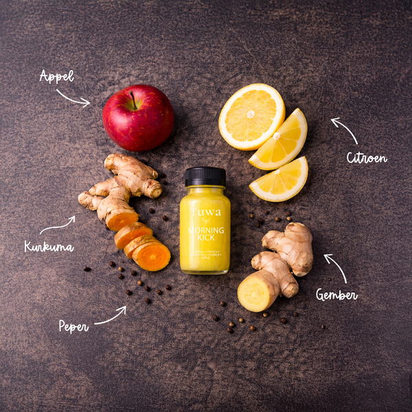 Ginger Shots - Morning Kick