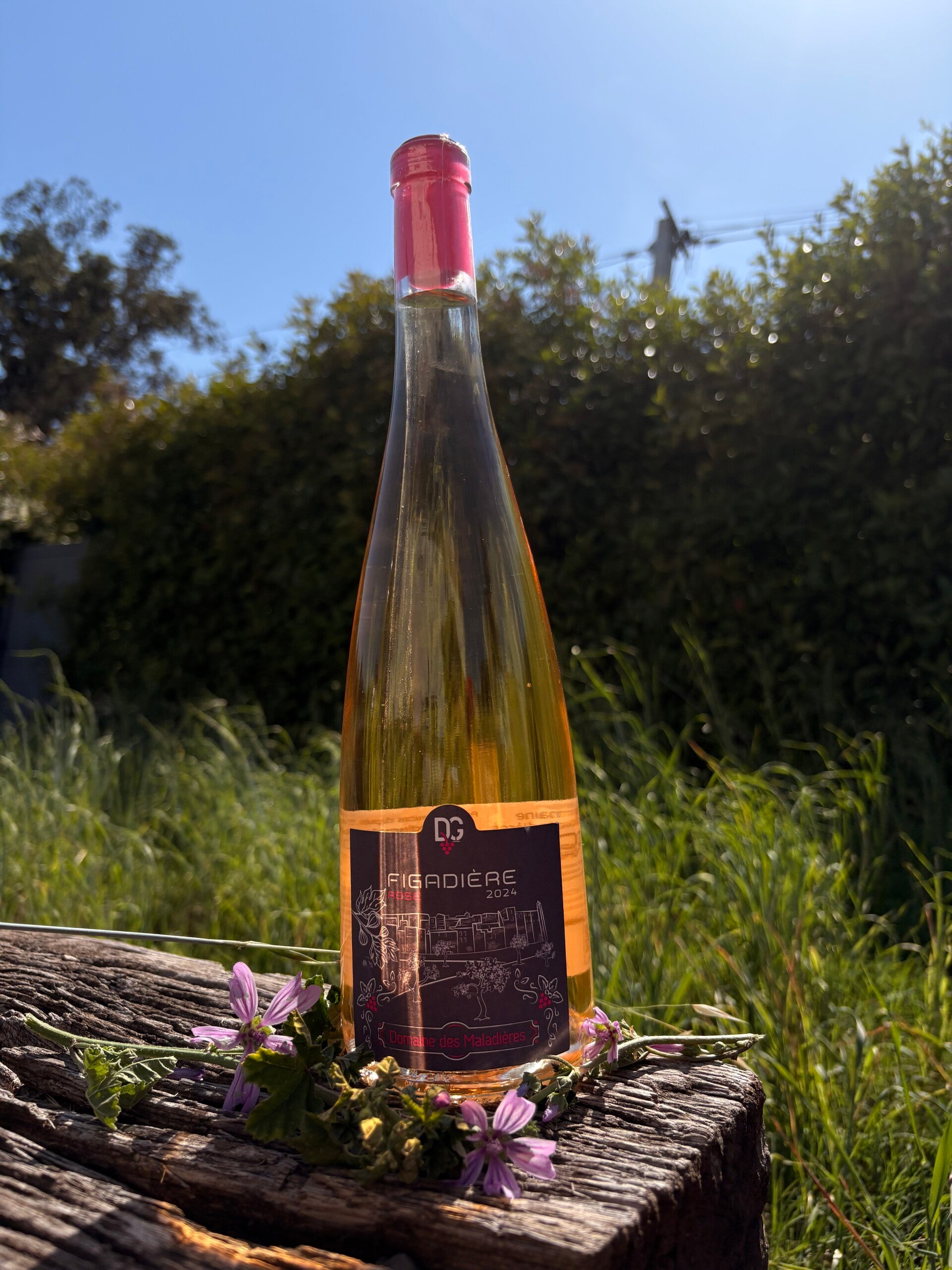 Figadière Rosé