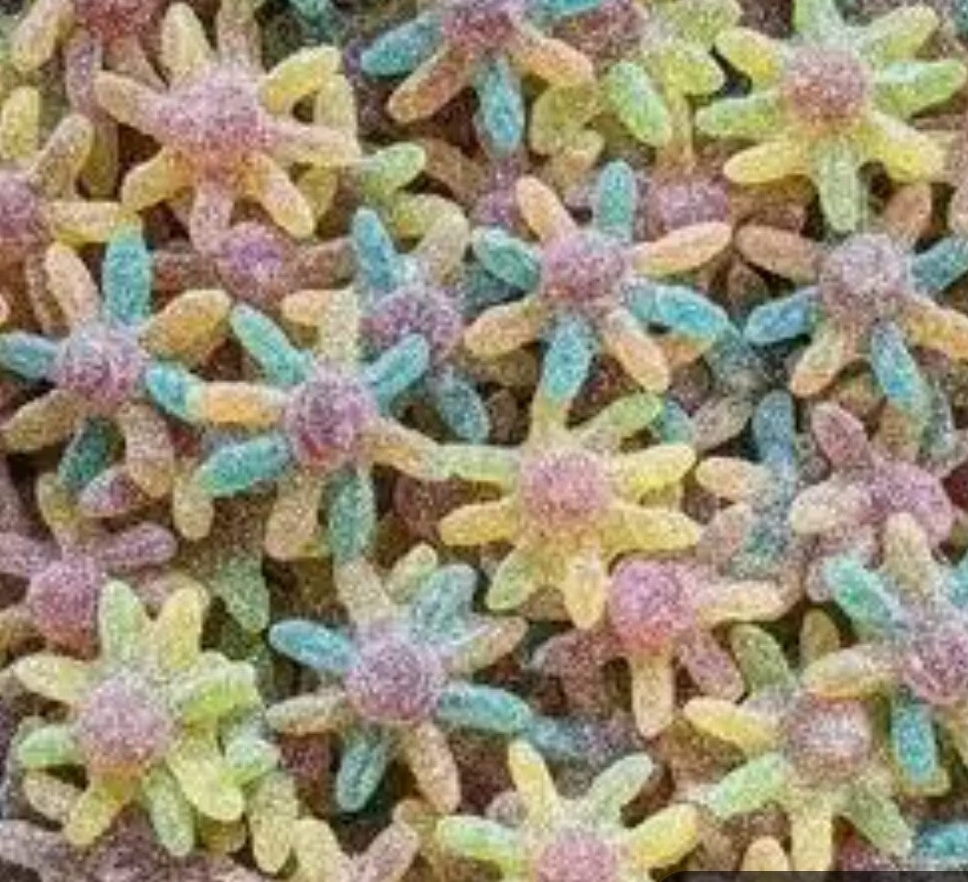 Poulpe Acide Halal 1 euro les 100g