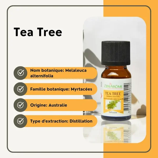 Huile Essentielle Arbre à Thé - 100% Naturelle - 10ml