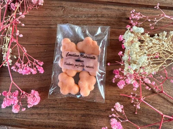 Paquet de 6 nuages melon