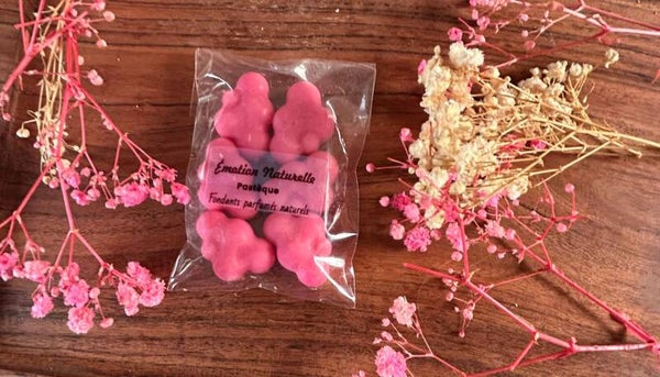 Paquet de 6 nuages pastèque