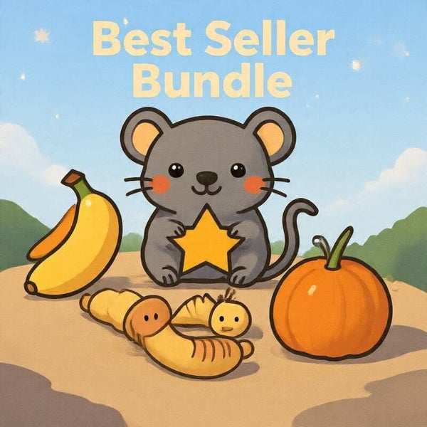 Best Seller Bundle