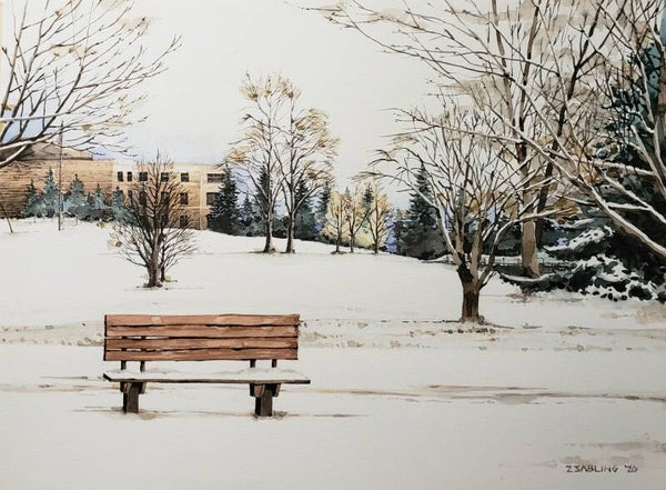 Lone Bench on a Park