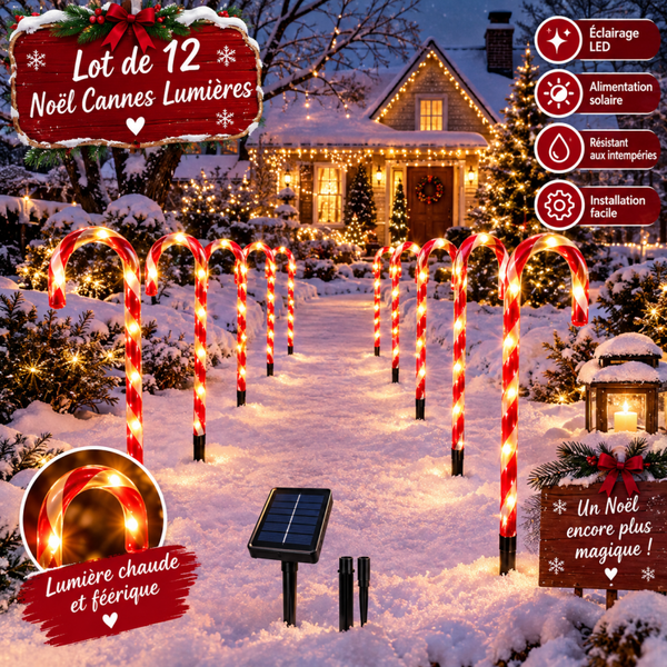 Decoration de noel exterieur