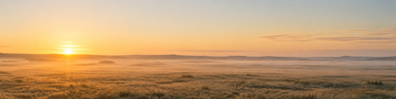 Horizon dégagé au petit matin