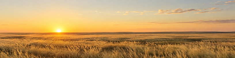 Horizon net et dégagé au petit matin au-dessus d'une plaine