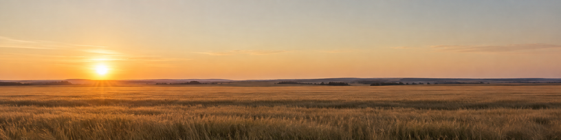 Horizon net et dégagé au petit matin au-dessus d'une plaine