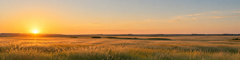 Horizon net et dégagé au petit matin au-dessus d'une plaine