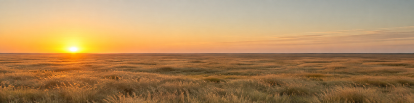 Horizon net et dégagé au petit matin au-dessus d'une plaine