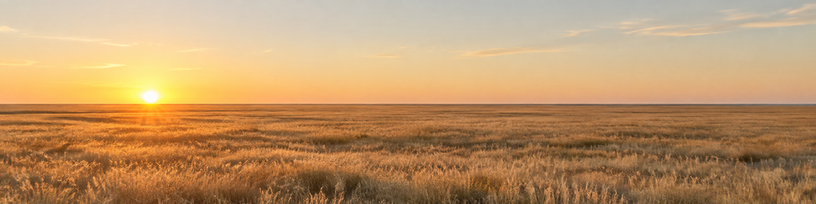 Horizon net et dégagé au petit matin au-dessus d'une plaine
