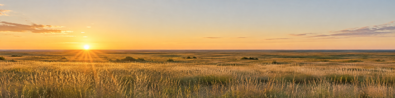 Horizon net et dégagé au petit matin au-dessus d'une plaine
