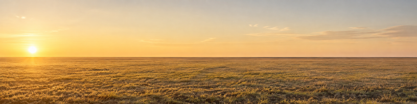 Plaine dégagée au petit matin, horizon vide