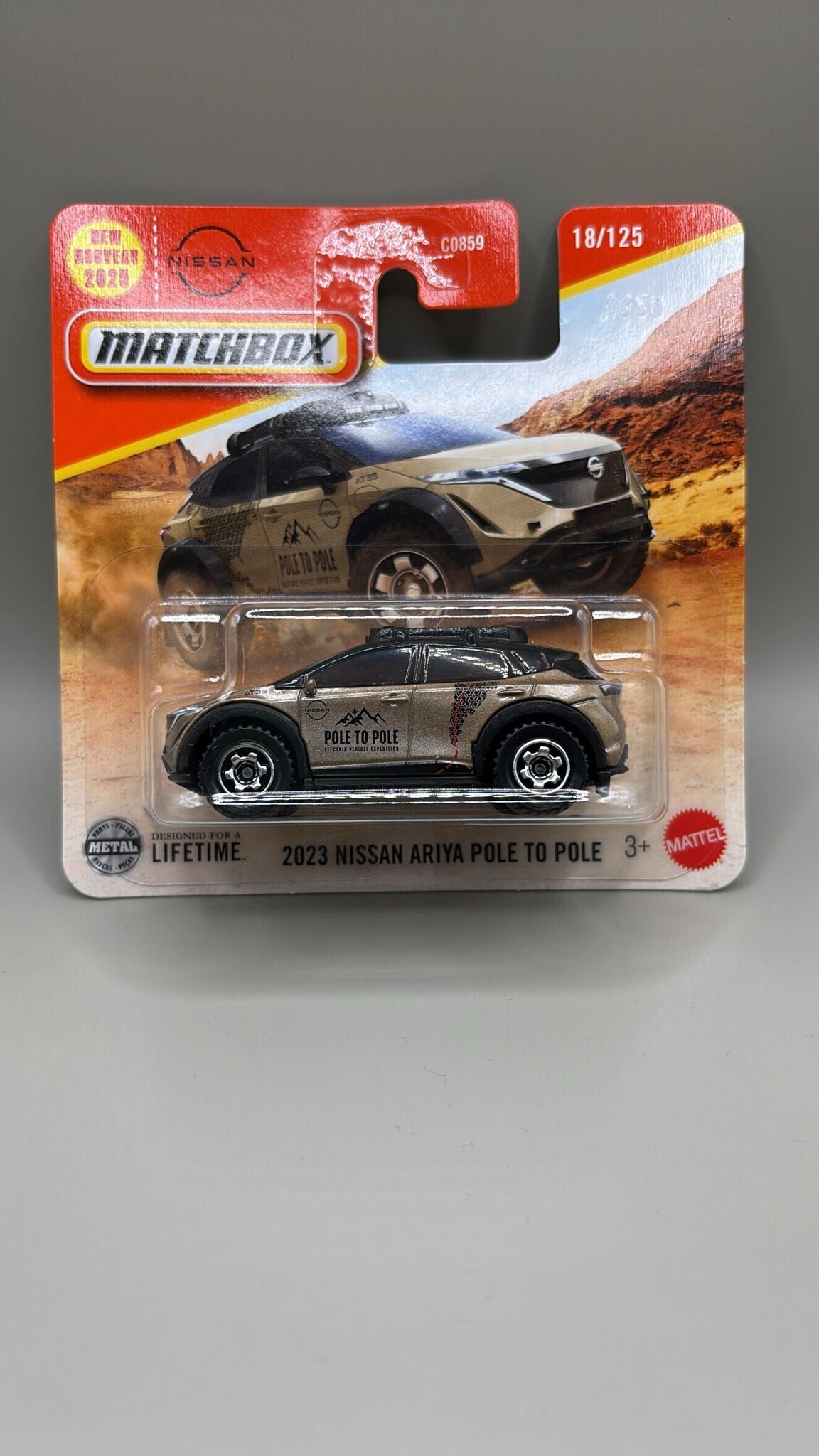 2023 Nissan ariya pole to pole