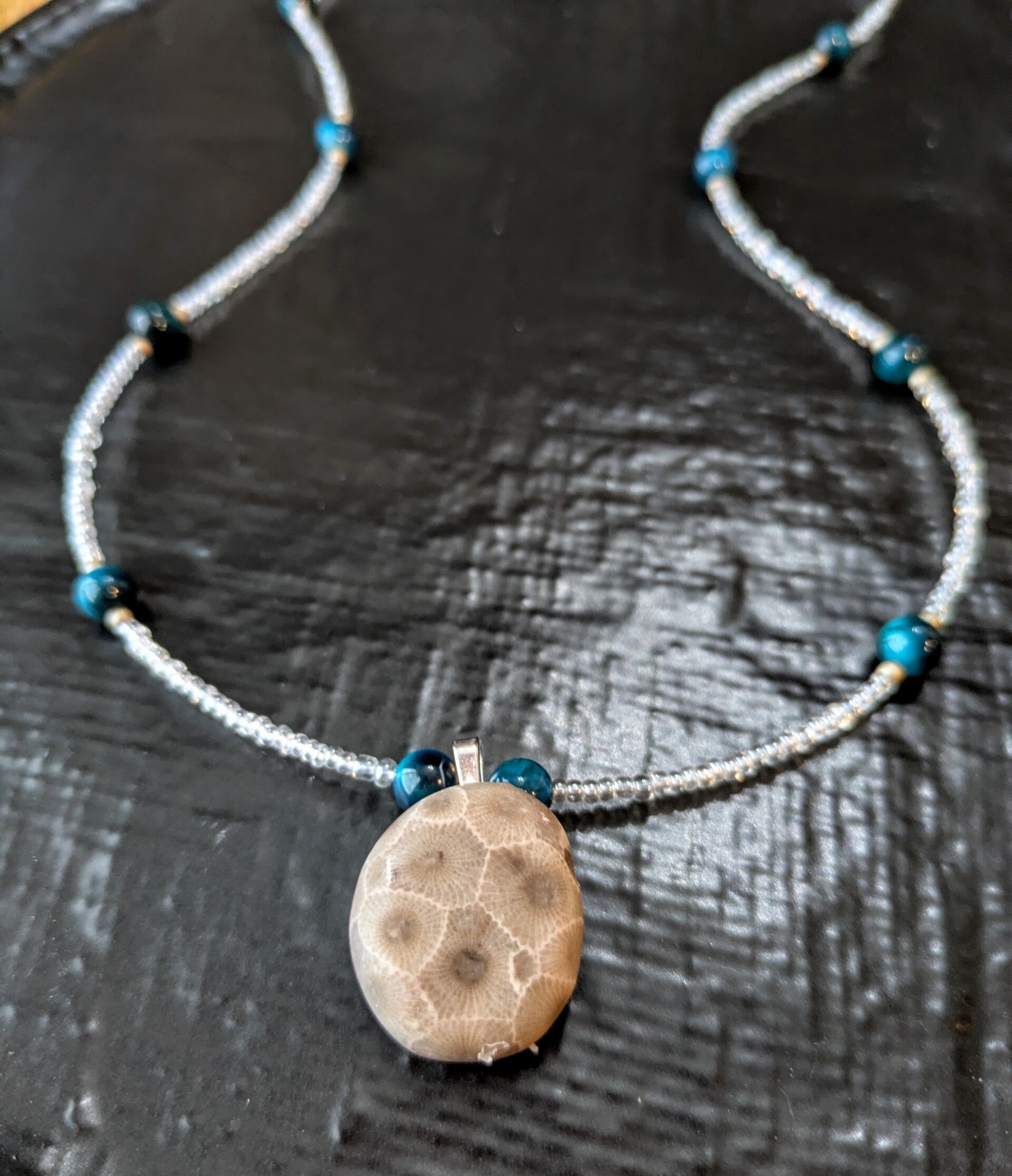 Lake Michigan Petoskey Stone Necklace