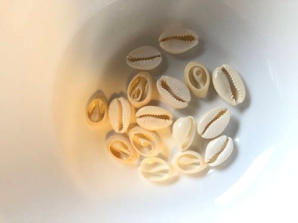 Kauri schelpen gebleekt