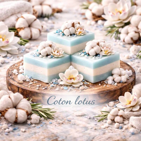 Coton lotus