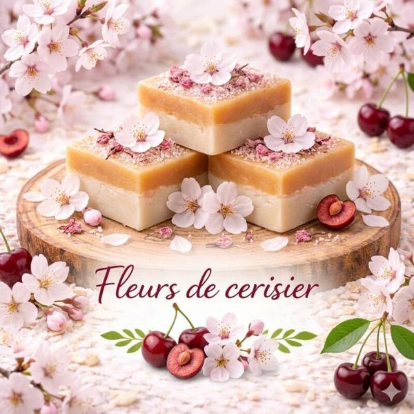 Fleur de Cerisier