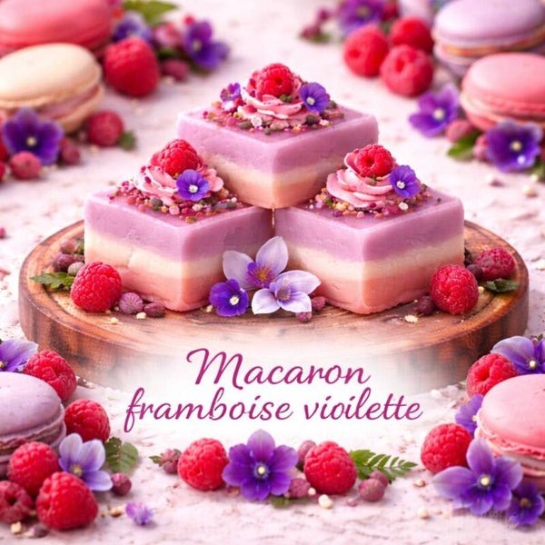 Macaron framboise violette