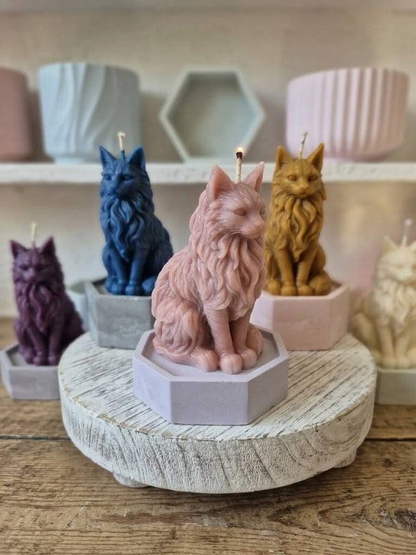 Amateurs de chats comme moi ? Maine-coon en bougie parfumée. (sans le socle)