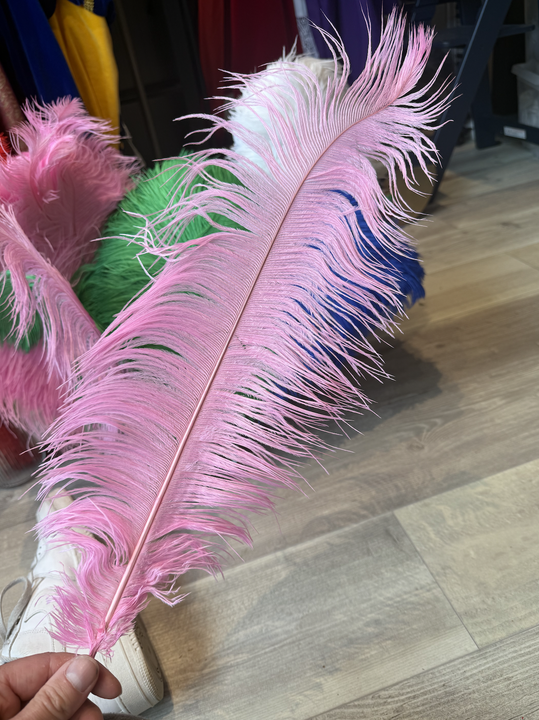 Spadonis veren roze 50 cm.