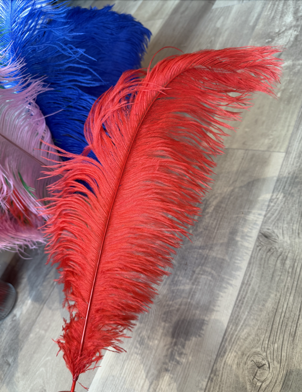 Spadonis veren rood 50 cm.