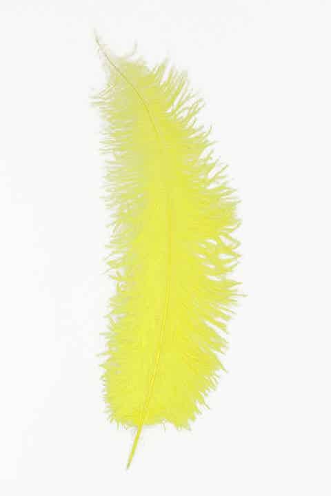 Spadonis veren geel 50/60 cm.